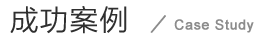 成功案例标题